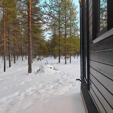 Fell Village 3 With A Mountain View, Fireplace, Sauna, Kitchen * Luosto